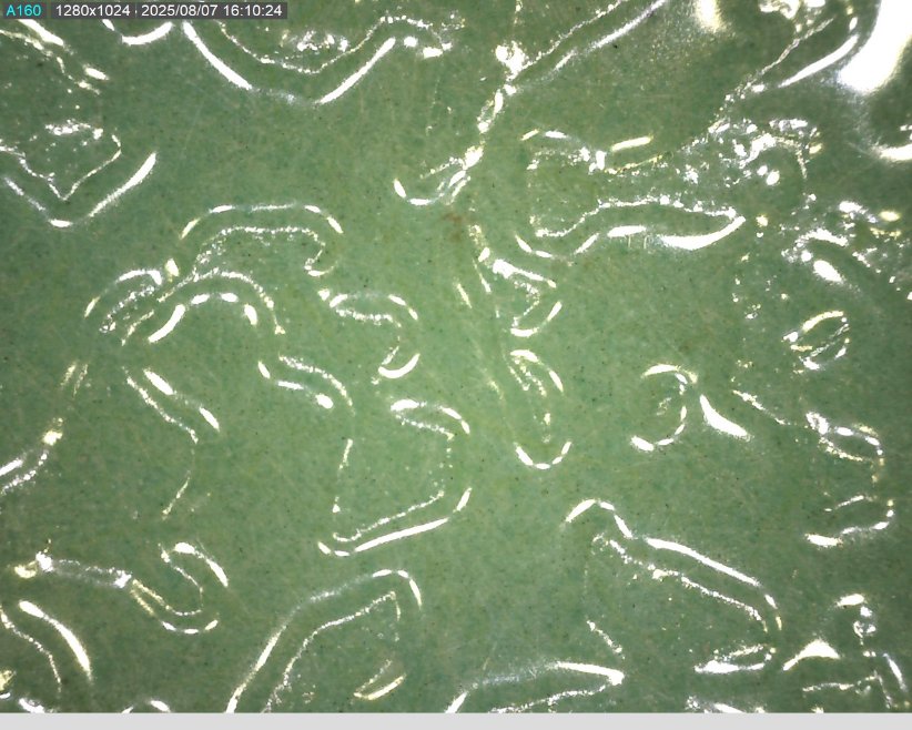 エンボス柄ジュラク（拡大写真）