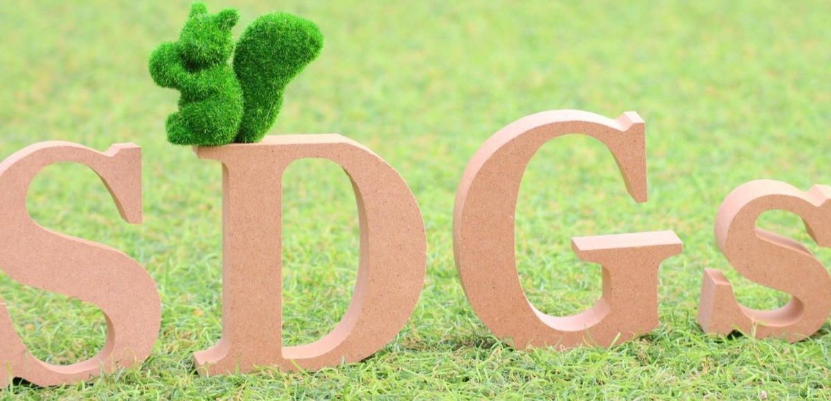 SDGs